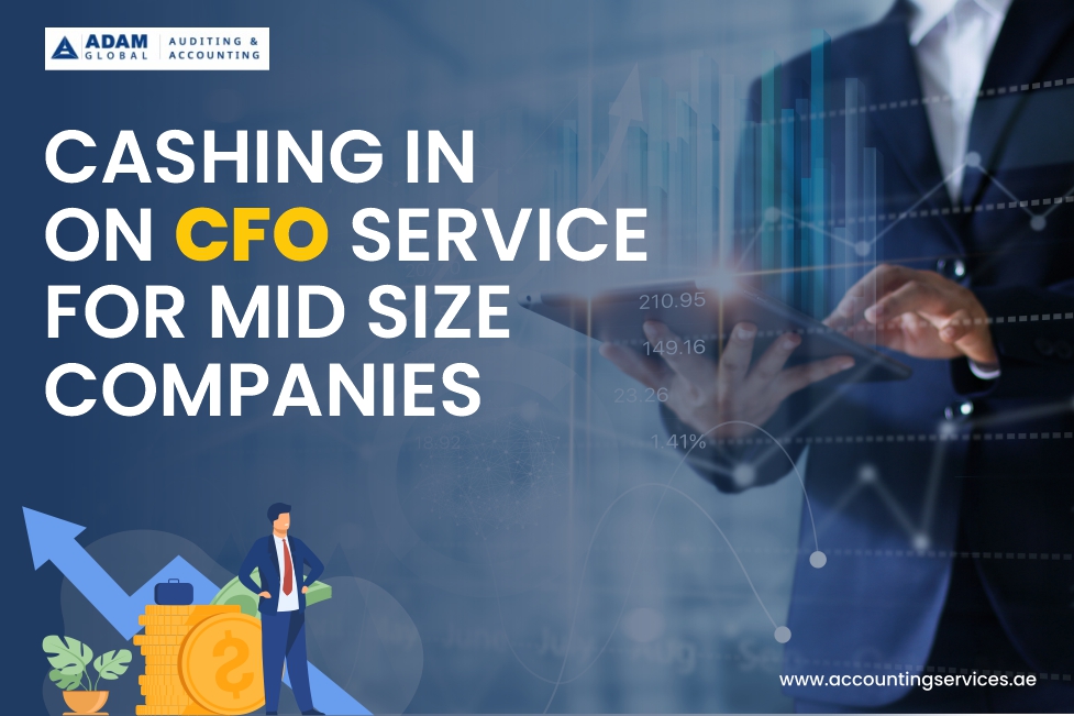 cfo services for small business